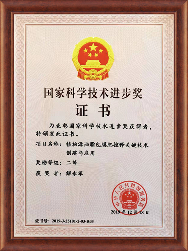 Second Prize of National Science and Technology Progress Award 2019