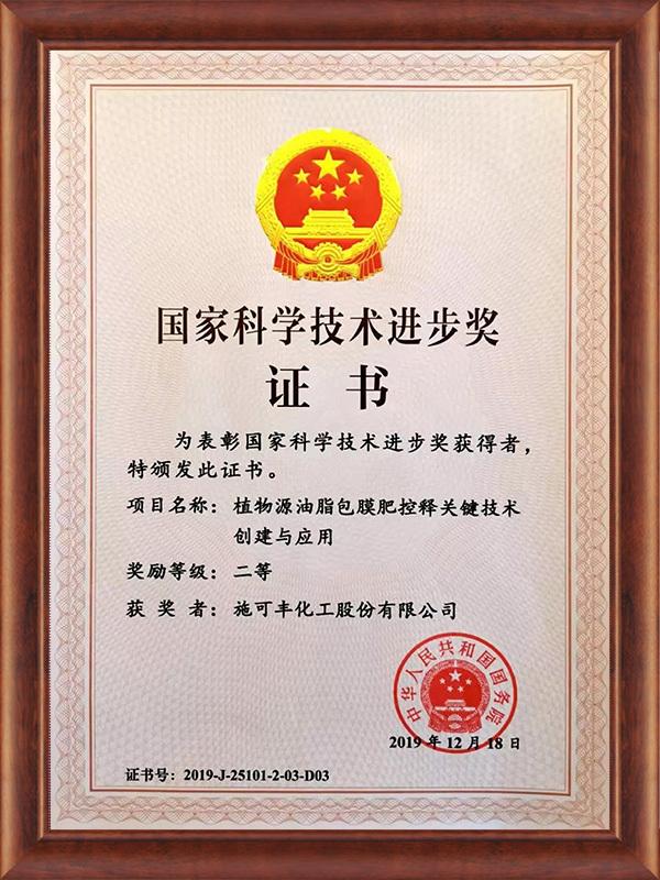 Second Prize of National Science and Technology Progress Award 2019