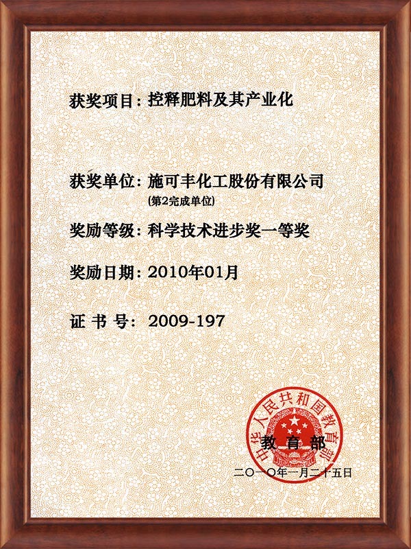 First Prize for Science and Technology Progress of the Ministry of Education